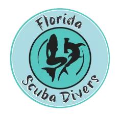 Florida Scuba Divers Orders Starting At $ 1.99 At EBay