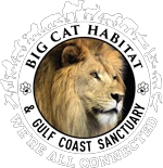 Big Cat Habitat Gift Card Just Starting At $50