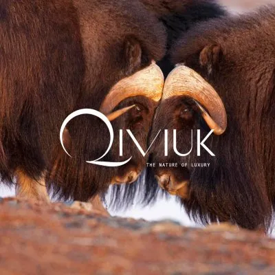 Qiviuk Boutique | The Nature Of Luxury