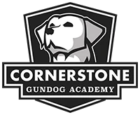 cornerstonegundogacademy.com