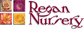 Sale At Regannursery.com Is Only Available For A Limited Time. Just A Step Away From One Of The Best Shopping Experiences Of Your Life