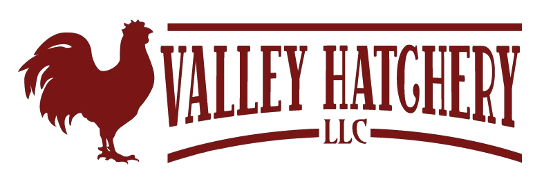 Valley Hatchery