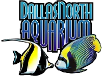 Find 20% Saving At Dallas World Aquarium