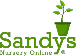 Subscribe To Sandys Nursery Online Newsletter To Get More Free Tips No Spam, Promise