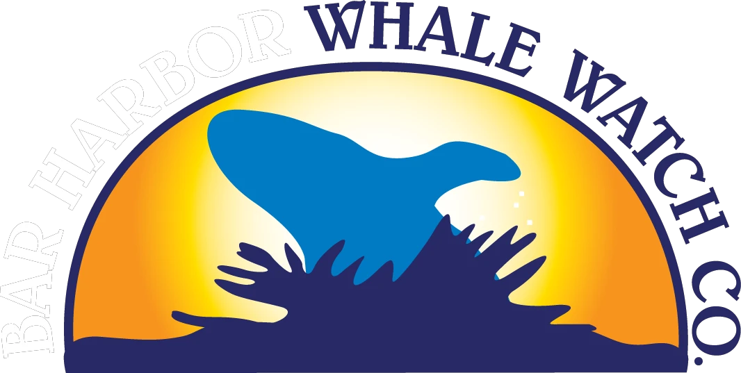 Pick Up Gift Cards At Barharborwhales