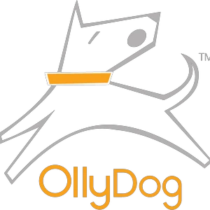 OllyDog