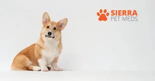 5% Off All Your Favourite Items At Sierra Pet Meds