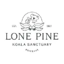 Buy Lone Pine Koala Sanctuary Goods From $ AU 0.99 At EBay Now