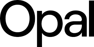 opalcamera.com