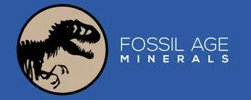 Wonderful Fossil Age Minerals Items Just From $18.99