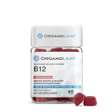 Save Big, Get Half Discount At B12 For Any