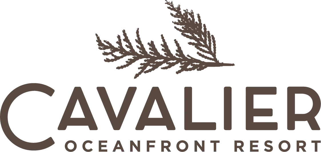 Cavalier Oceanfront Resort Items Just Low To $ 1.49 At EBay