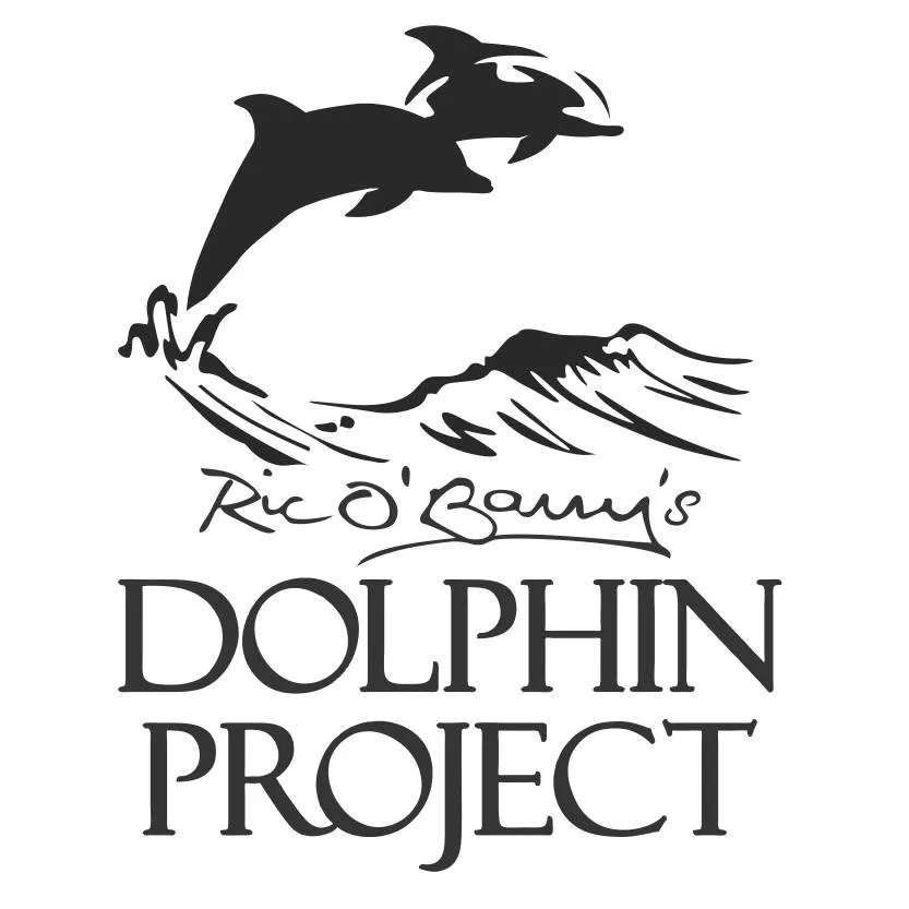 Dolphin Project