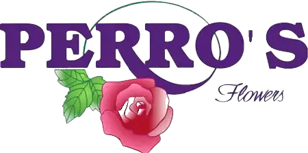 Cut 45% On Orchid Plants Delivered Worcester At Perro's Flowers