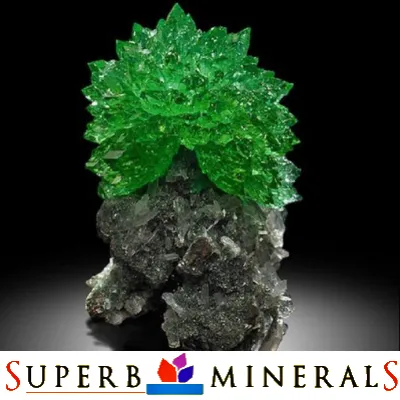 Sign Up For The Newsletter To Get Best Promotion With Superb Minerals Promo Codes