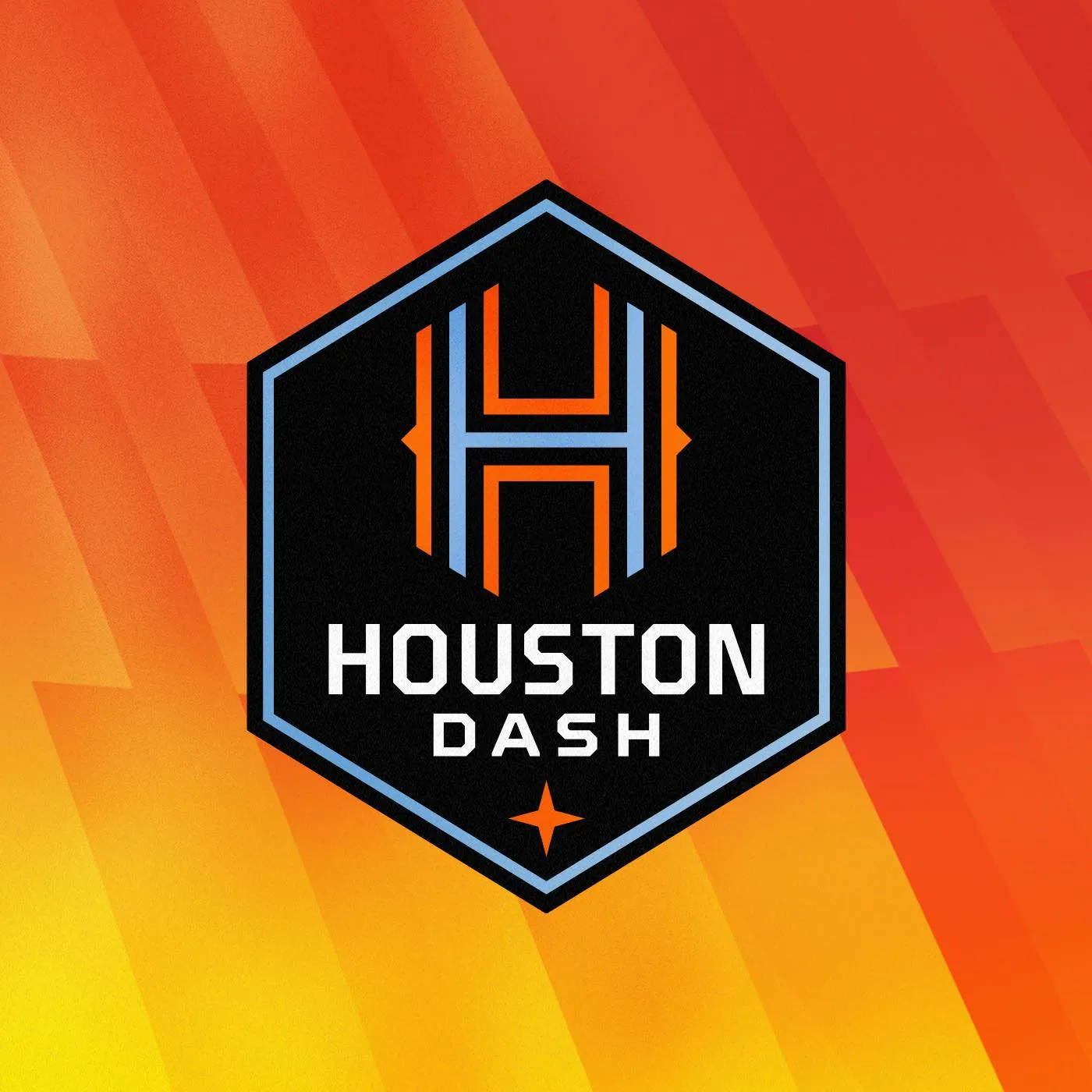 Dynamo Charities From Only $500.00 At Houston Dynamo