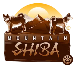 Make The Most Of Your Shopping Experience At Mountain Shiba