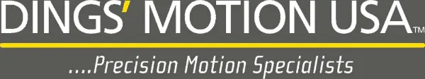 Dings Motion Usa Only For $99