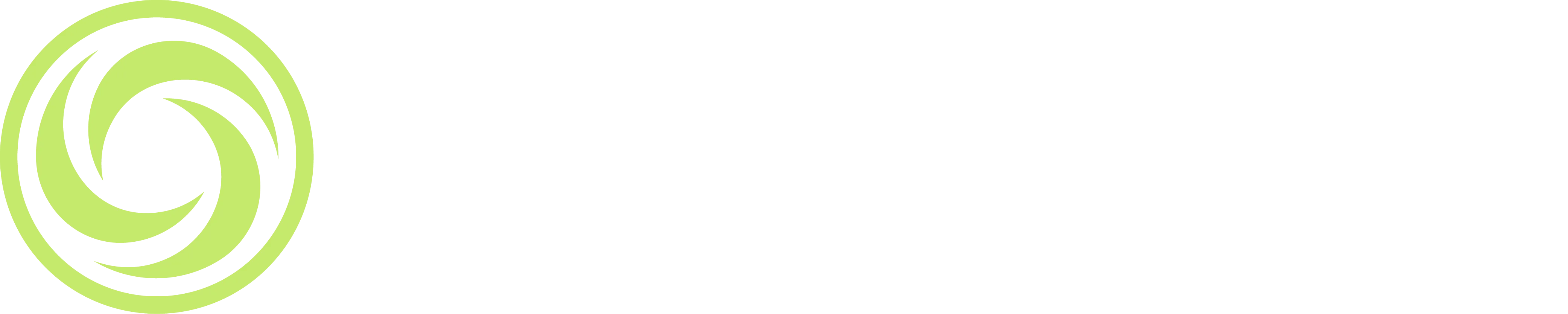 Spinwave Pickleball