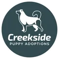 Find Up To 15% Reductions On Cavapoo Puppies For Sale At Creekside Puppy Adoptions