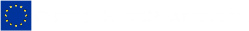 Custom Euro Plates