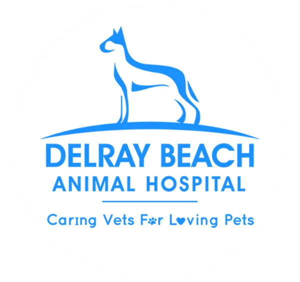 Special Offer: Delray Beach Animal Hospital Goods Begin For $ 2.00 On Ebay