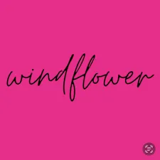 thewindflower.com