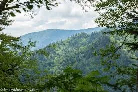 Discover Amazing Deals When You Place Your Order At Smoky Mountains