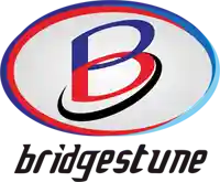 $14.85 Off Everything With Bridgestone Promotional Code With Code