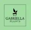 Score Wonderful Reductions With Promo Codes From Gabriella Plants - Check Them Out Now