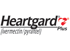 Unlock Up To 20% Off Your Entire Order At HEARTGARD