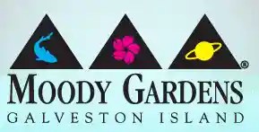 33% Reduction Moody Gardens Hotel