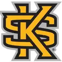 Limited Time: 20% Off Kennesaw State Owls