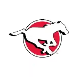 Stampeders