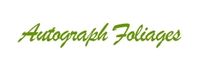 Grab Big Sales From Autograph Foliages